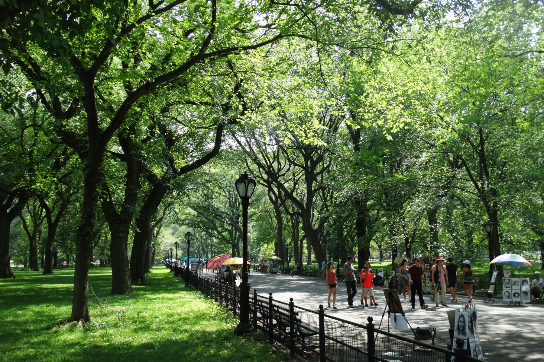 Central Park et ses promenades
