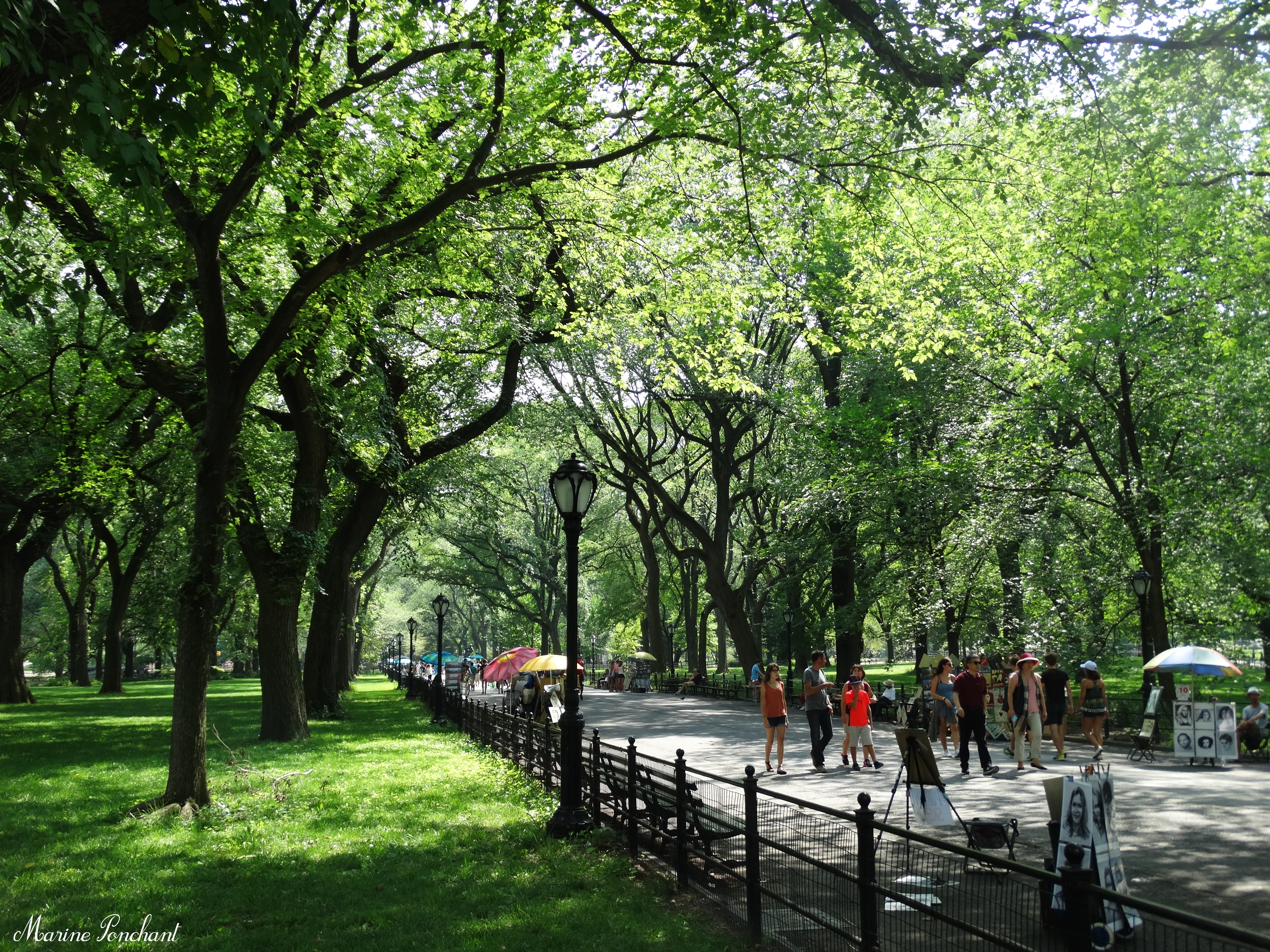 Central Park et ses promenades